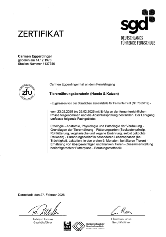 Vorschau des SGD-Zertifikats Tierernährungsberaterin für Hunde und Katzen von Carmen Eggerdinger.